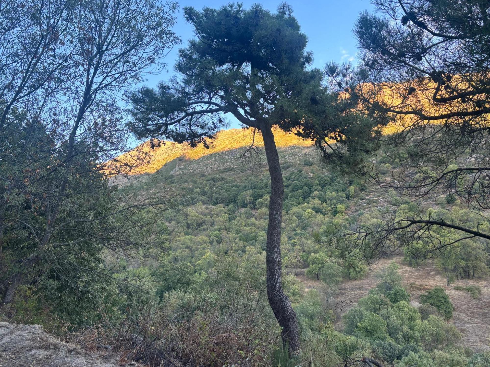 Luna De Gredos