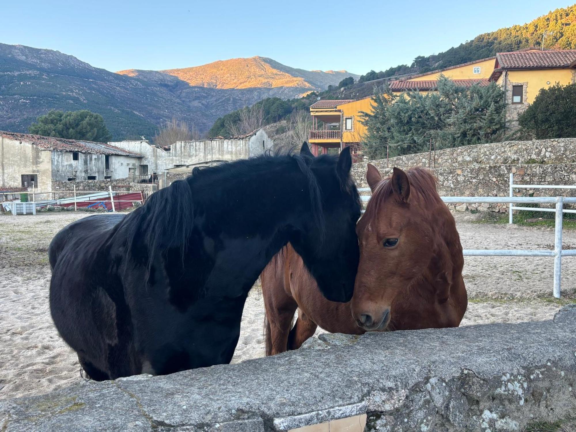 Luna De Gredos *